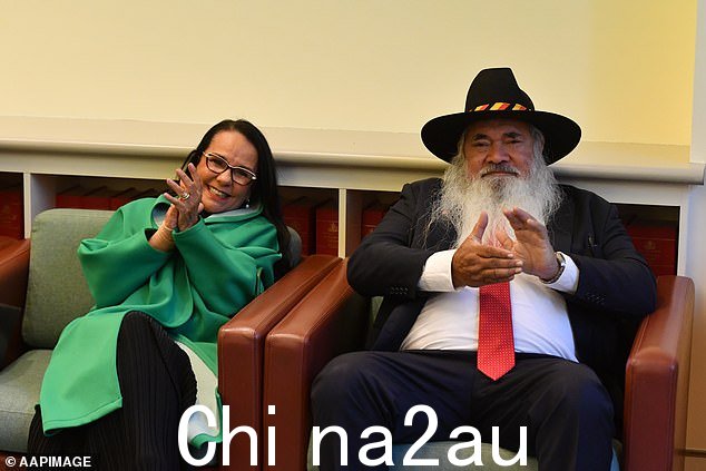 伯尼女士和工党参议员帕特多德森,都是土着议员和声音的坚定支持者,在议会大厦的工党党团会议期间