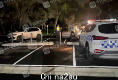 “快乐的！”澳洲华人深夜蹲守3个月，亲手将小偷送上警车！ （视频/照片）