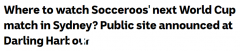 悉尼世界杯公开直播场地已选定！公共交通限时免费，歌剧院点亮声援（合影）