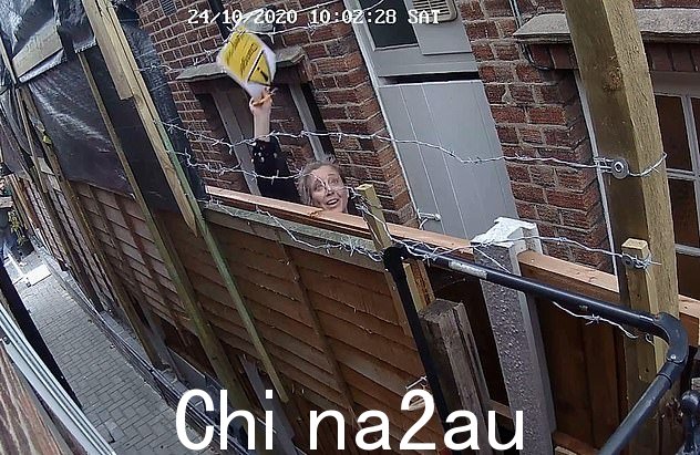 其他闭路电视录像显示,史里维斯向她邻居的花园里扔石头,踢他们两个房子之间的围栏mes
