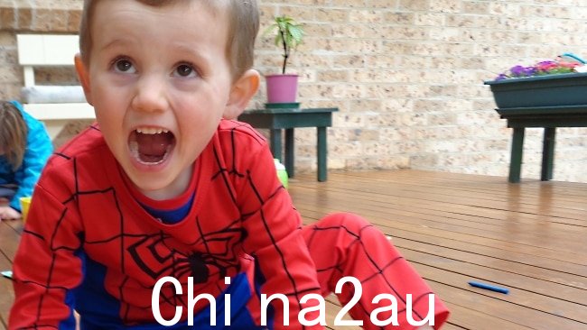三岁的 William Tyrrell 穿着蜘蛛侠服装失踪了。图片:提供