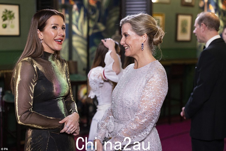 聊天ting: Ellie 在活动中与威塞克斯伯爵夫人交谈