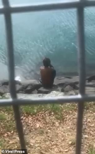 这个年轻人被这对野兽是他们在沙巴的拉哈达图 (Lahad Datu) 海岸捕鱼时遇到的。当地人看到拍摄事件
