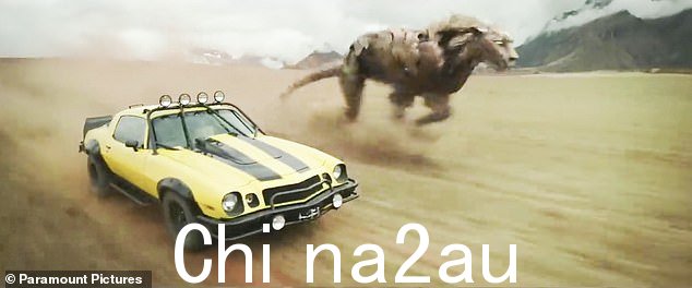 Animals:剪辑然后在许多以动物为主题的机器人摧毁世界的部分之间切入