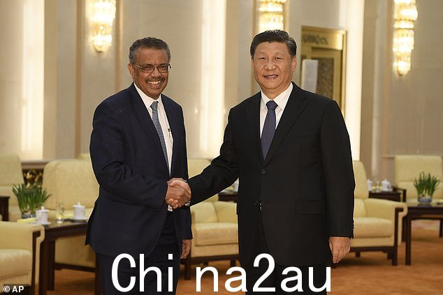 世界卫生组织总干事谭德塞于 2020 年 1 月与中国国家主席习近平握手