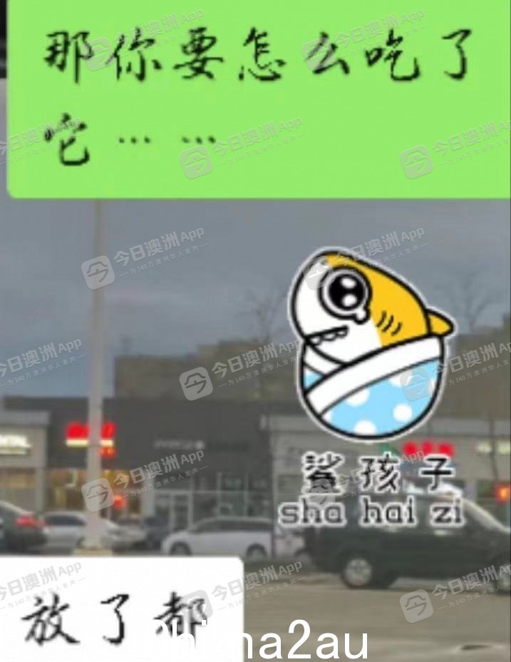 WechatIMG35.jpeg,18