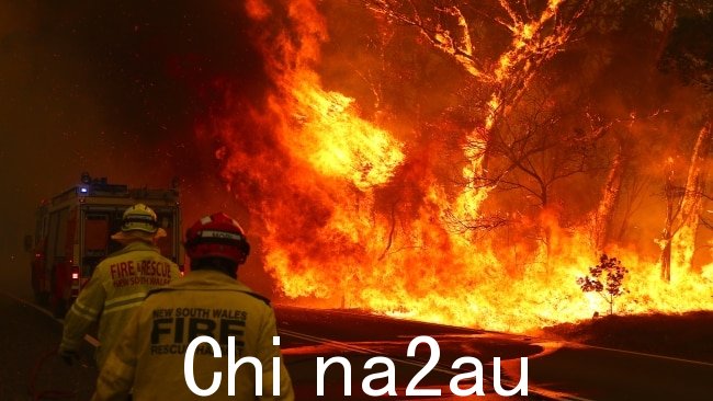 工党领袖提到了毁灭性的黑人2019/2020 年的夏季丛林大火夺去了 34 人和数十亿动物的生命。图片来源:David Gray/Getty