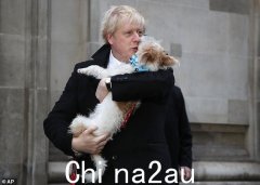鲍里斯·约翰逊 (Boris Johnson) 确信他的狗 Dilyn 感染了新冠病毒，并咨询了英国顶尖科学家