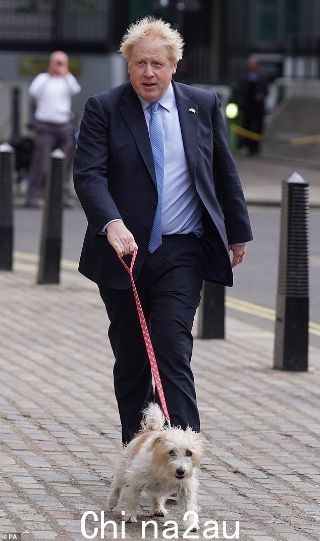 英国前首相带着这条狗迪林抵达伦敦市中心的卫理公会中央大厅,参加 5 月 5 日的地方政府选举