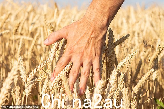 今天,我们面临着一系列生存危机,气候、自然、健康和粮食不安全,所有这些都可以避免(文件图片)
