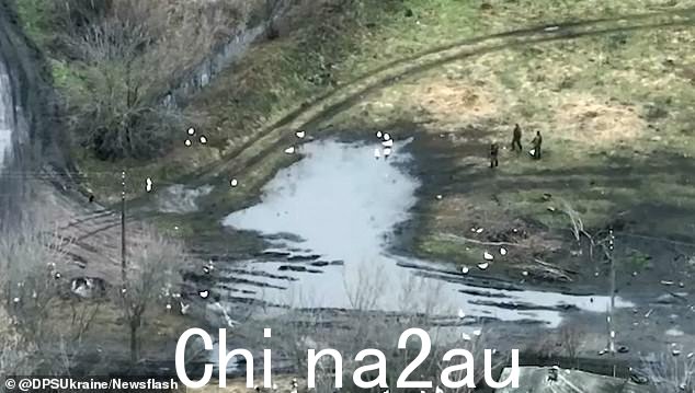 坐着的鸭子:在乌克兰顿涅茨克地区的一个住宅区,俄罗斯士兵站在他们正在射击的鹅旁边