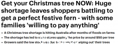 澳洲圣诞树短缺！供应商电话响起，客户：只要能买到，想花多少就花多少（合影）
