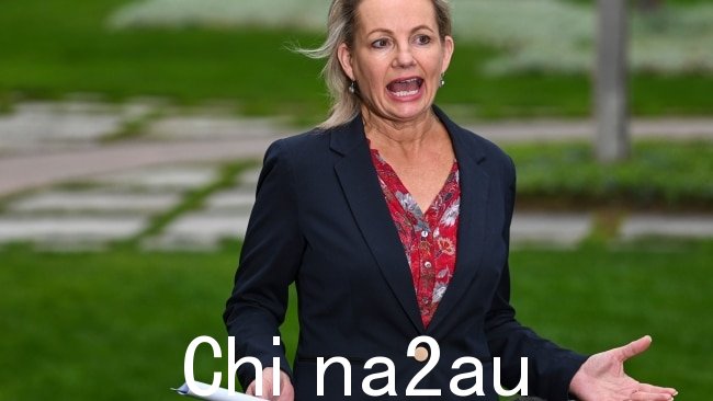 副自由党领袖 Sussan Ley 在周三的全国内阁会议被取消后发表声明 - 之前重新安排。图片:NCA NewsWire / Martin Ollman