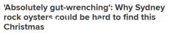 今年圣诞生蚝更难买！新南威尔士州名产区爆发寄生虫大量生蚝成空壳（图）