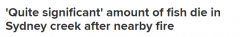 悉尼小溪出现大量白色泡沫，成群结队的鱼死亡。环保局介入调查（图）