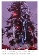 “澳洲最丑圣诞树”火了，奇形怪状遭网友疯狂吐槽：毁了我们的圣诞节（组图）