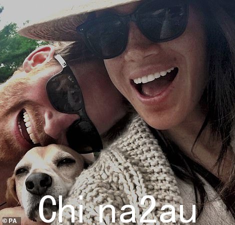 哈里和梅根与他们的孩子一起分享了他们求爱和结婚的照片