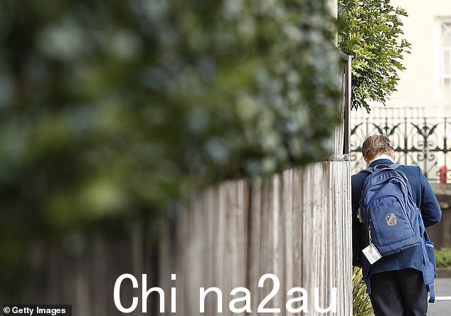一名韦弗利学院的学生(如图所示的股票图片)声称诽谤是针对 Je希望学生、教职工甚至一家人经过学校操场
