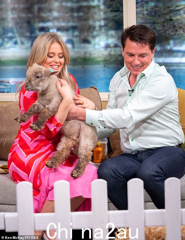 不幸事件:32 岁的 Emily Atack 认为她没有被邀请回到今早主持节目,因为她直播了一只羊羔