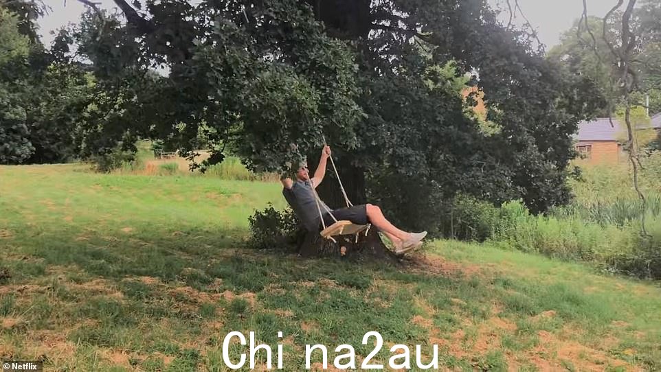 在一个场景中看到哈里王子在小屋地面上的一棵树上荡秋千