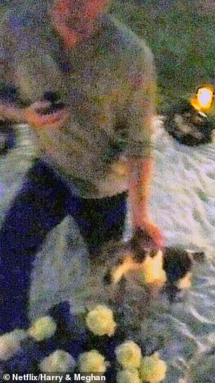纯粹的浪漫:哈利单膝跪地向梅根求婚时的亲密瞬间