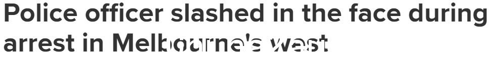 1.JPG,0