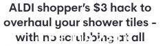 只需 2.99 美元！ Aldi“清洁神器”火了，不用擦洗也能让瓷砖焕然一新（组图）