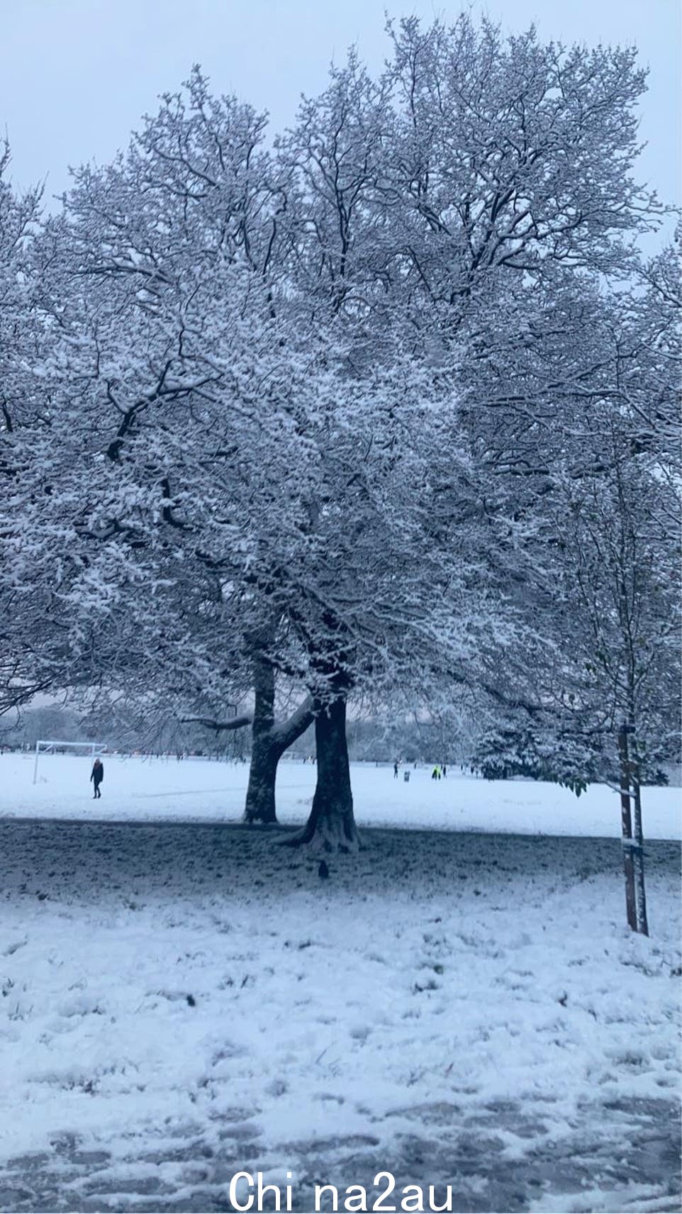 在一夜之间气温骤降后,伦敦南部的积雪很常见