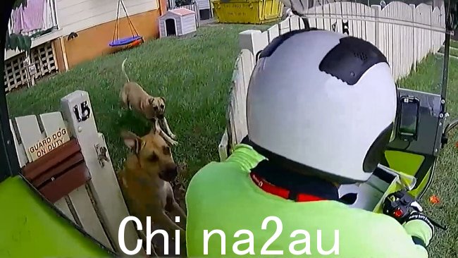 澳大利亚邮政表示,狗袭击的频率和严重程度都在增加。图片:已提供。