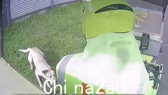 澳大利亚邮政已敦促房主确保他们的 pe在一连串的恶狗袭击邮递员之后发生了 ts。图片:提供