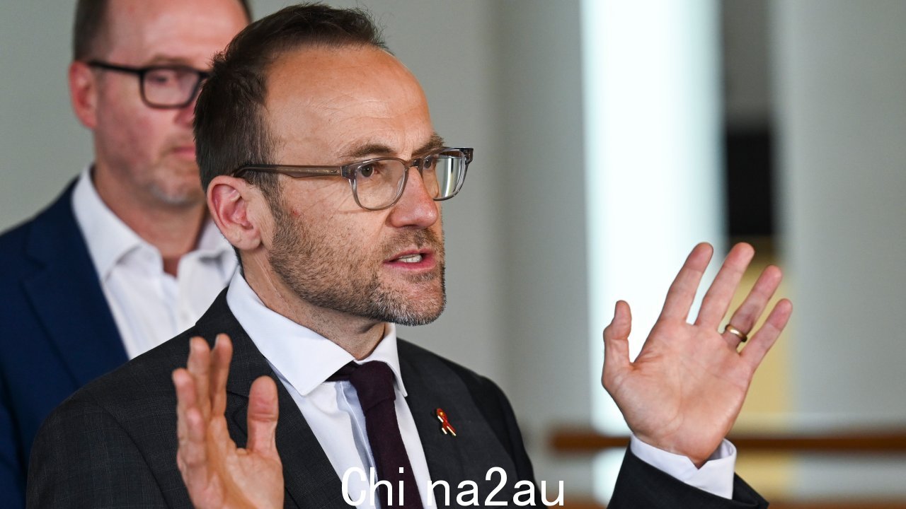 绿党领袖 Adam Bandt 呼吁冻结电价和大规模煤炭和天然气公司的超额暴利暴利税。图片:NCA NewsWire / Martin Ollman