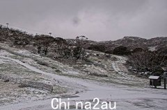 本周淡季暴风雪持续，澳洲会迎来白色圣诞节吗？ （图片）
