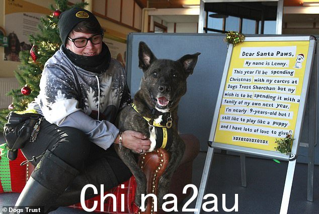 Dogs Trust Shoreham,几个月前 9 岁的德国牧羊犬 Lenn 来到这里,当时他的主人根本无法照顾他更多,并且收到的兴趣很少。他是一只美丽的天性狗,偷走了所有犬类护理人员的心。莱尼想要的只是爱和拥抱。他是一个非常亲切的小伙子,他会在散步后愉快地和你一起在沙发上打瞌睡。尽管他年纪大了,但他仍然认为自己是一只小狗,喜欢像个大傻瓜一样追着他的玩具四处乱窜。需要家:Lenny 需要成为家里唯一的宠物,他家里最小的成员需要年满 17 岁。他想要一个自己的花园,可以在其中玩耍