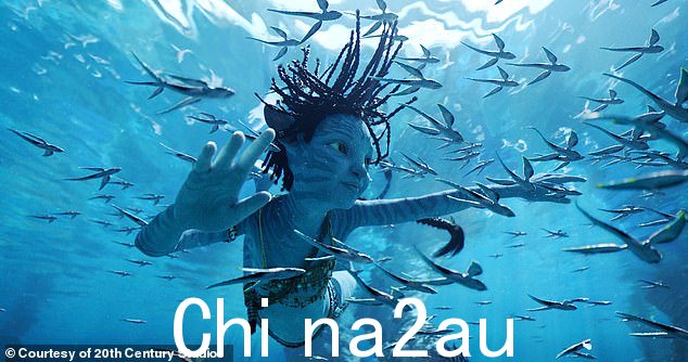 它回来了! 《阿凡达 2:水之道》回归了许多原班人马,包括萨姆沃辛顿、佐伊索尔达尼亚、西格妮韦弗,以及凯特温斯莱特和范迪塞尔。