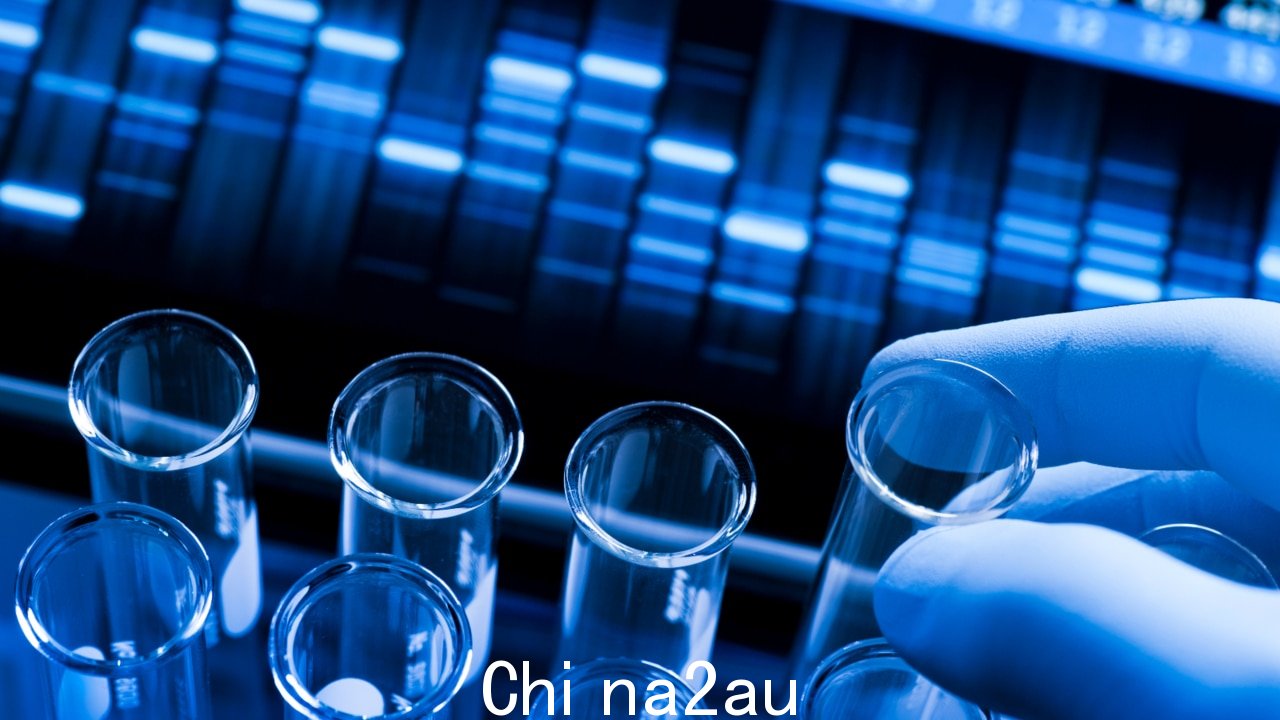 昆士兰州政府回应今天的 DNA 实验室调查