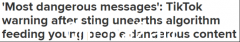 Tiktok被指推澳洲青少年自残视频，点击量上亿（图）