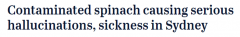 Costco卖“毒”菠菜！悉尼多名消费者出现幻觉 进食24小时仍病重（图）