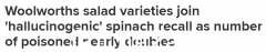注意！ “毒菠菜”事件持续发酵 两款Woolies沙拉被紧急召回 至少17人被“接收”（图）