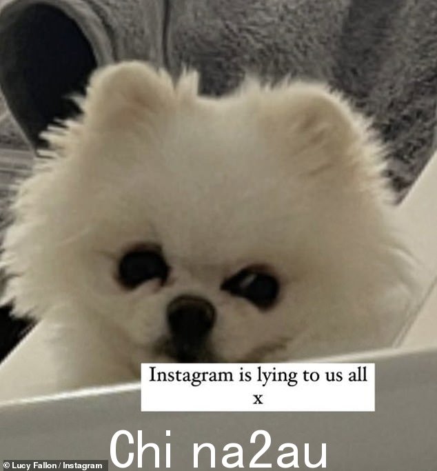 不真实:发布第三张快照,Lucy 解释说 Instagram 在引用图片差异时“对我们所有人撒谎”