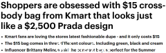 Kmart只要15元的包包火了！网友疯狂点赞，堪称Prada的替代品（合影）