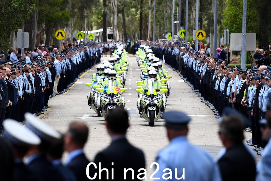 一支由数千名军官组成仪仗队的警察车队” width=