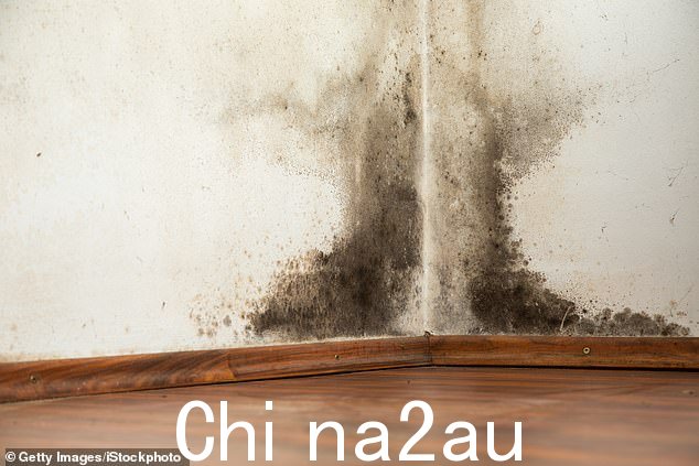 Clay 先生已就针对其前房东的潜在索赔事宜与 Maurice Blackburn 接洽。该公司表示,因发霉而出现健康问题的人可能有权获得赔偿