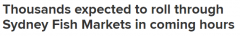 36小时不打烊！悉尼鱼市今早开启“海鲜马拉松”，逾10万人蜂拥抢购（图）