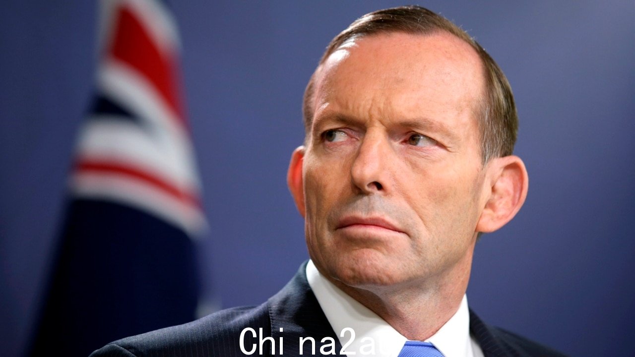 议会之声“原则上错误”和“实践中不好”:Abbott