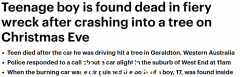 汽车撞树起火，19岁澳洲男子被困车内身亡！民众表示哀悼（图）