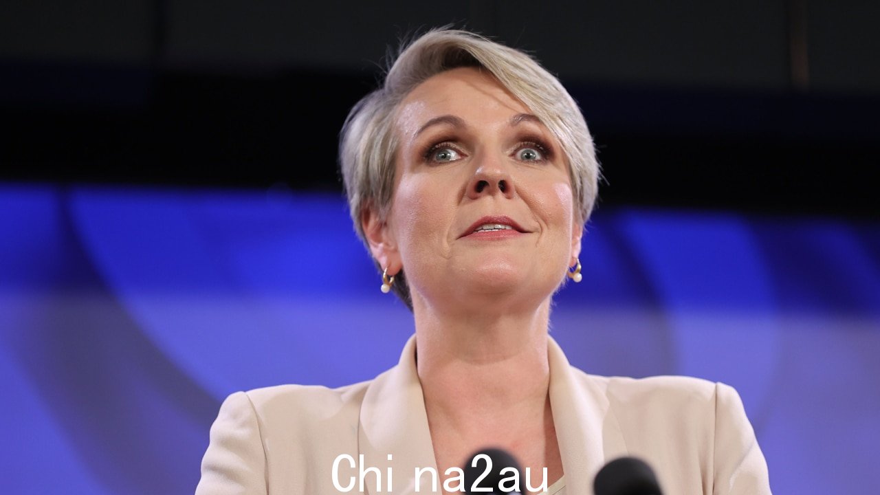 Tanya Plibersek spruiks 多乐士地球计划环保倡议