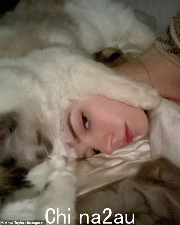 戴帽子的猫:Anya 素颜的皮肤在冬天的白色和灰色毛衣的映衬下闪闪发光,因为她配套的小猫睡在毛衣上以保持头部温暖