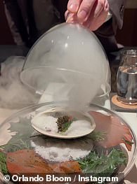 冒烟:奥兰多沉迷于在玻璃穹顶下盛放的鱼子酱美食,移开后会释放出一股芬芳的蒸汽