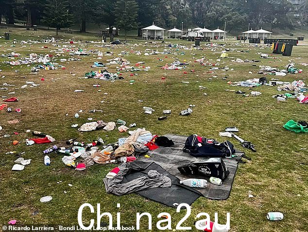 海滩游客还在圣诞节那天破坏了附近的勃朗特海滩(如图),四角短裤、T 恤、背包、筹码袋和购物袋散落在保护区内