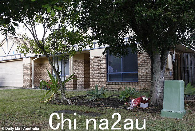 两名来自 Zillmere 和 Holland Park 的 17 岁少年被控谋杀和谋杀未遂,而警方继续审问另外两名 16 岁和 17 岁的男孩
